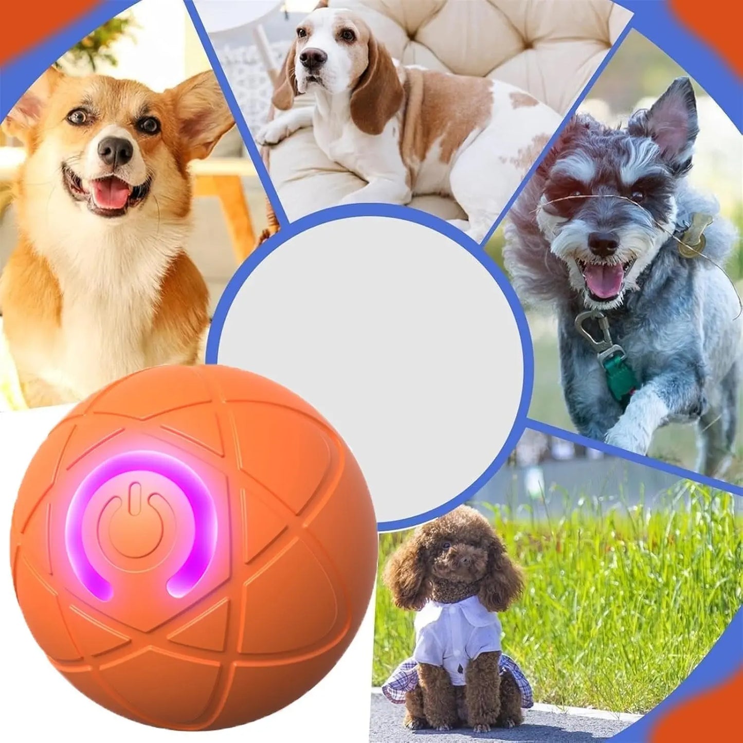 Interaktiver Haustierball – Fördert Spiel & Bewegung Mivoza Deutschland