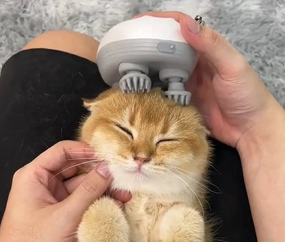 Katzenmassagegerät — pure Entspannung für Ihre Katze Mivoza Deutschland
