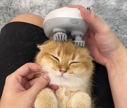 Katzenmassagegerät — pure Entspannung für Ihre Katze Mivoza Deutschland