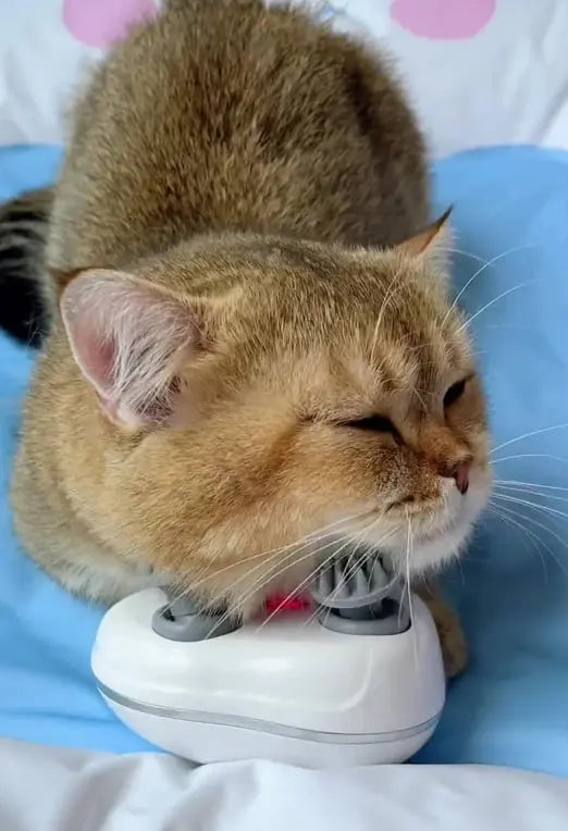 Katzenmassagegerät — pure Entspannung für Ihre Katze Mivoza Deutschland
