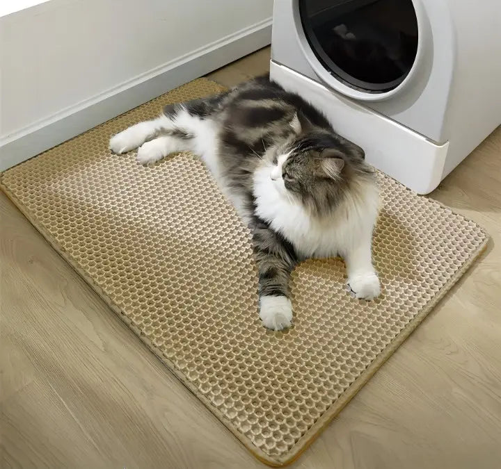 Katzenstreumatte – Halten Sie Ihre Böden sauber und streufrei! Mivoza Deutschland