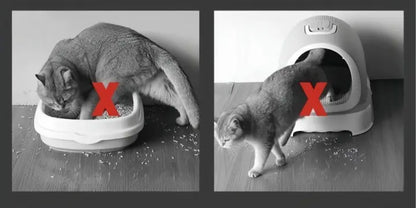 Katzenstreumatte – Halten Sie Ihre Böden sauber und streufrei! Mivoza Deutschland
