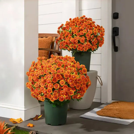 Künstliche Chrysanthemen – Realistische Blüten in warmen Sunset-Tönen Mivoza Deutschland