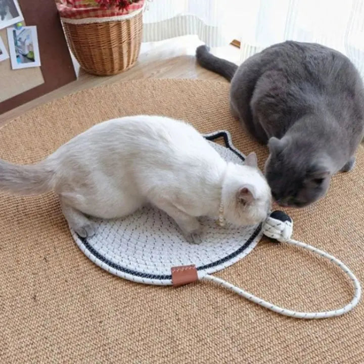 Langlebiger Katzenkratzteppich Mivoza Deutschland
