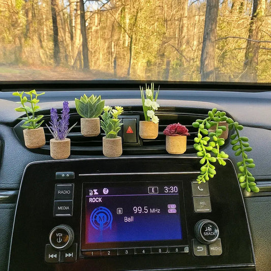 Lüftungsklammer mit Duft Set — Frischer Auto-Accessoire aus Kork Mivoza Deutschland