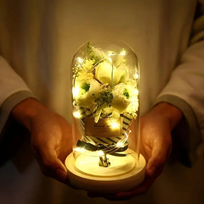 LuminaCraze™ Beleuchte den Zauber der Saison! Mivoza Deutschland