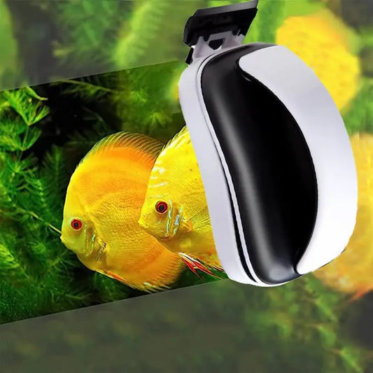 Magnetischer Aquarienreiniger – Schwimmender Algenentferner für Glasbecken Mivoza Deutschland