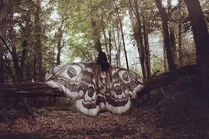Mystischer Umhang „Grey Moth“ – Eleganz & Zauber in einem atemberaubenden Cape Mivoza Deutschland