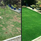 Pflegeleichte Bio-Rasensamenmatte Mivoza Deutschland