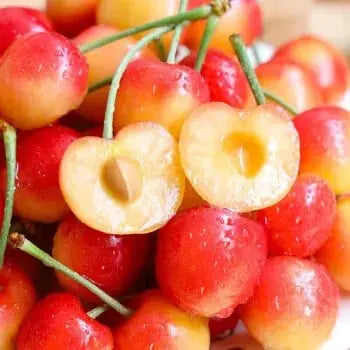 Rainier Cherry Seeds – Hochwertige Kirschen Zorenza