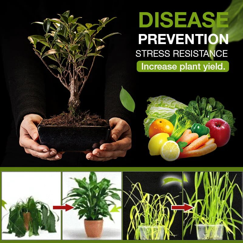 2+1 Gratis 3TageAktivator für Gartenerde Mivoza Deutschland