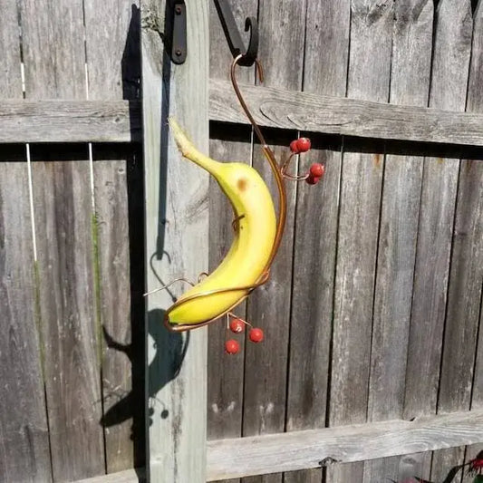 Schmetterlings-Bananenhalter – Natürliche Anziehungskraft Mivoza Deutschland