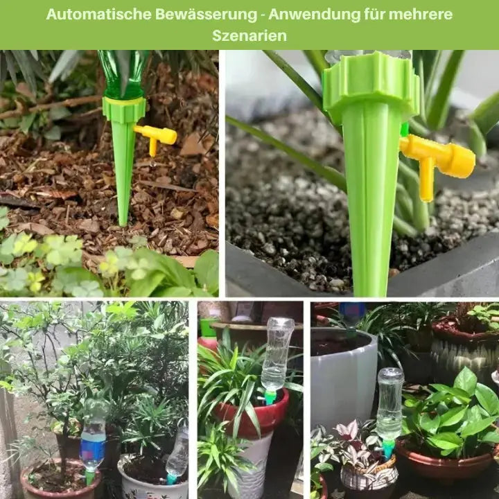 Wasserflaschen-Bewässerungssystem Mivoza Deutschland