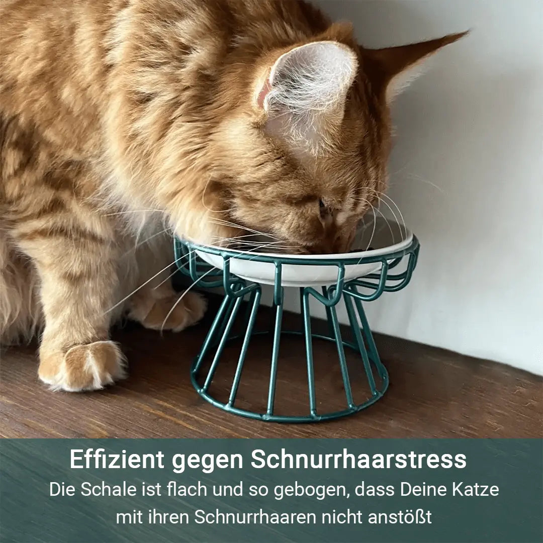 Stressfreier und gesunder Ergonomischer Katzennapf –  Set aus Ständer und Schüssel Mivoza Deutschland