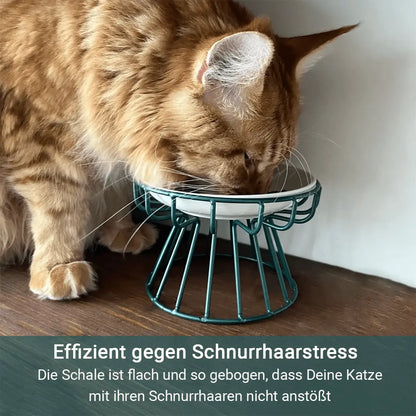 Stressfreier und gesunder Ergonomischer Katzennapf –  Set aus Ständer und Schüssel Mivoza Deutschland