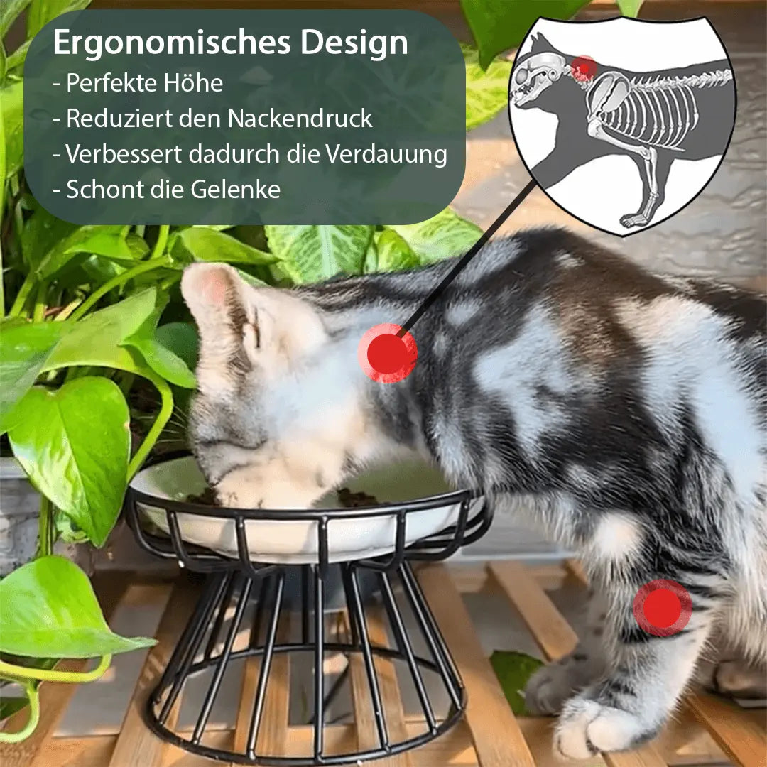 Stressfreier und gesunder Ergonomischer Katzennapf –  Set aus Ständer und Schüssel Mivoza Deutschland