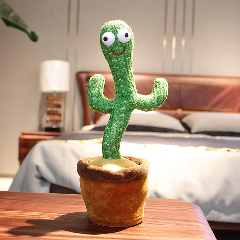 The Dancing Cactus Mivoza Deutschland