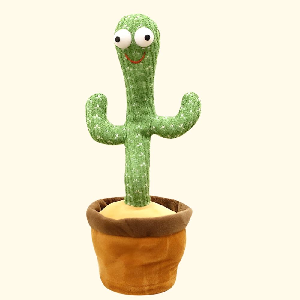 The Dancing Cactus Mivoza Deutschland