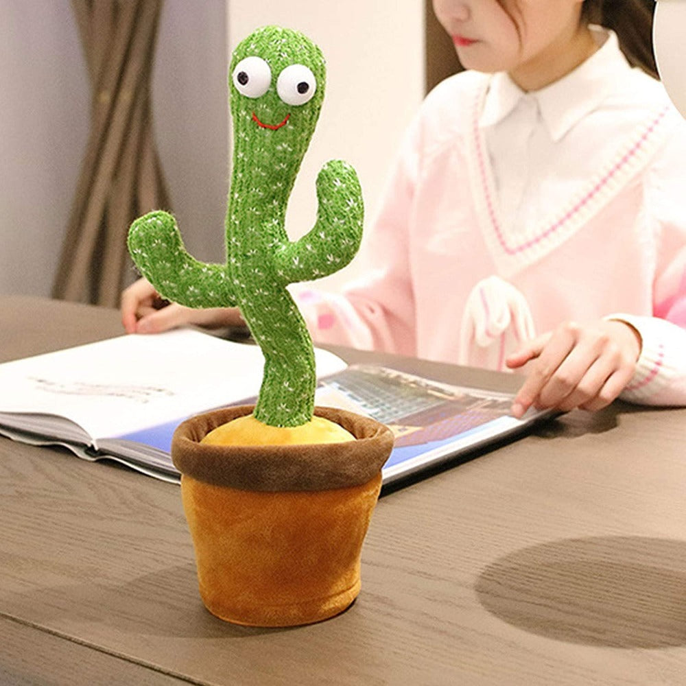 The Dancing Cactus Mivoza Deutschland