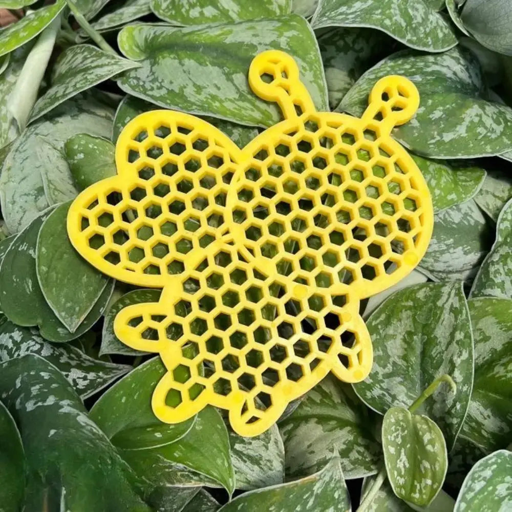 Trinkstation für Bienen — Ruheplatz & Wasserquelle für Bestäuber Mivoza Deutschland