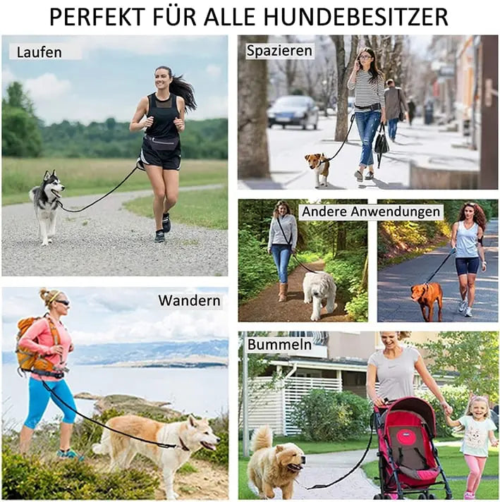 🔥Heißer Verkauf🔥Auf freihändige Hundeleine mit Reißverschlusstasche Zorenza