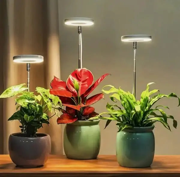 Verstellbare LED-Pflanzenlampe – Optimales Licht für gesundes Wachstum Mivoza Deutschland