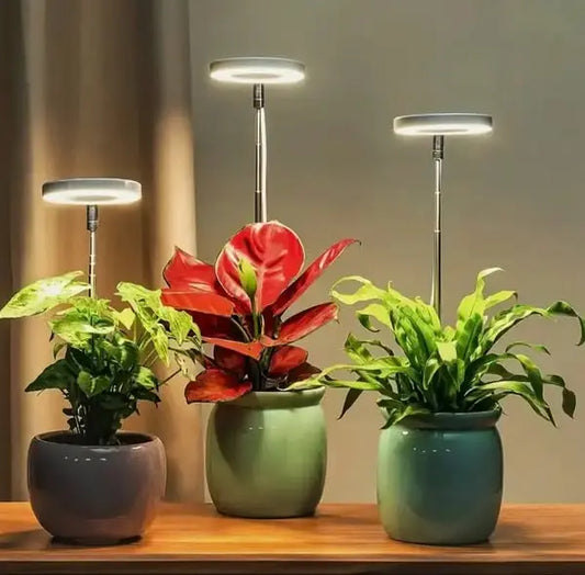 Verstellbare LED-Pflanzenlampe – Optimales Licht für gesundes Wachstum Mivoza Deutschland