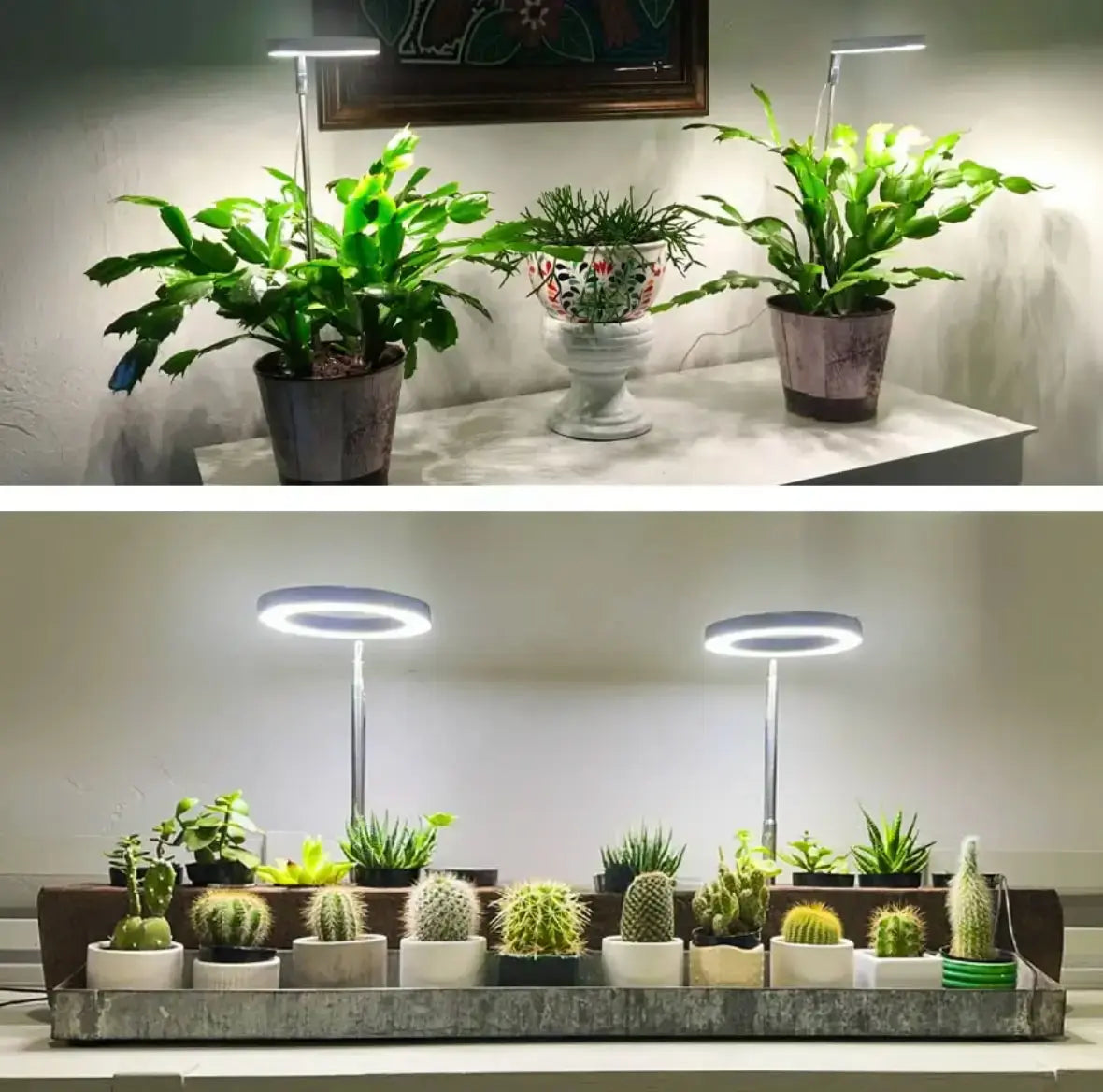 Verstellbare LED-Pflanzenlampe – Optimales Licht für gesundes Wachstum Mivoza Deutschland