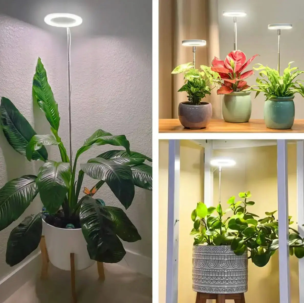 Verstellbare LED-Pflanzenlampe – Optimales Licht für gesundes Wachstum Mivoza Deutschland