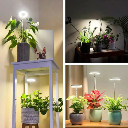 Verstellbare LED-Pflanzenlampe – Optimales Licht für gesundes Wachstum Mivoza Deutschland