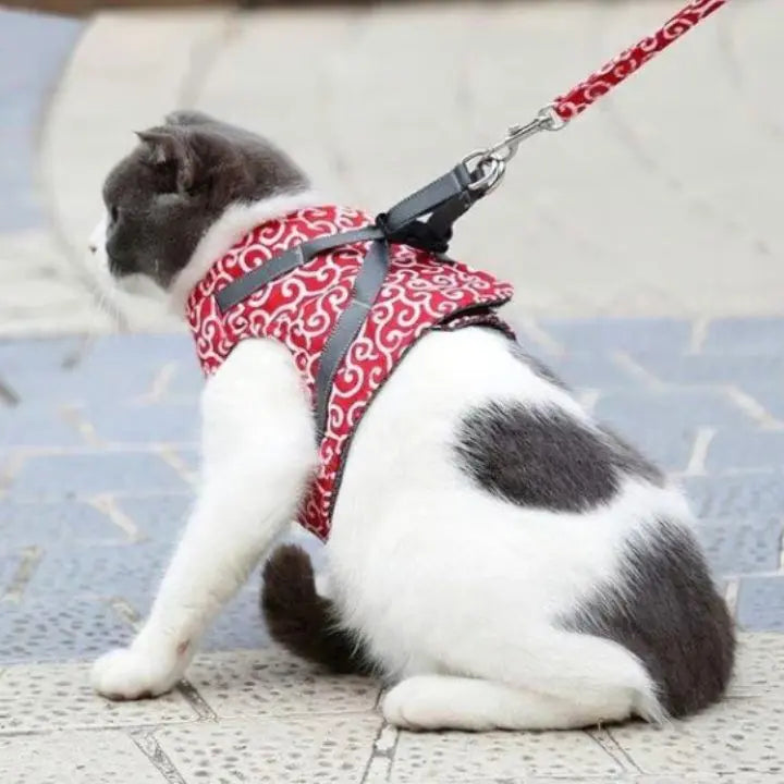 Verstellbares Geschirr- und Leinen-Set für Katzen und Hunde Mivoza Deutschland