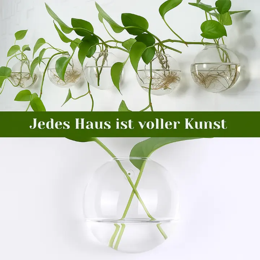 Wandpflanzenhalter ohne Bohren – Vertikaler Garten & Dekorative Fischschale Mivoza Deutschland