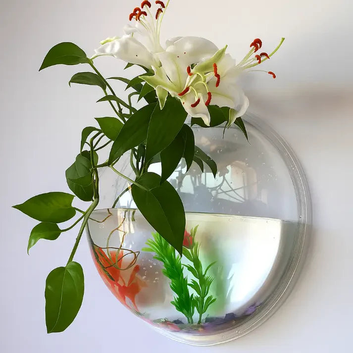 Wandpflanzenhalter ohne Bohren – Vertikaler Garten & Dekorative Fischschale