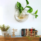 Wandpflanzenhalter ohne Bohren – Vertikaler Garten & Dekorative Fischschale