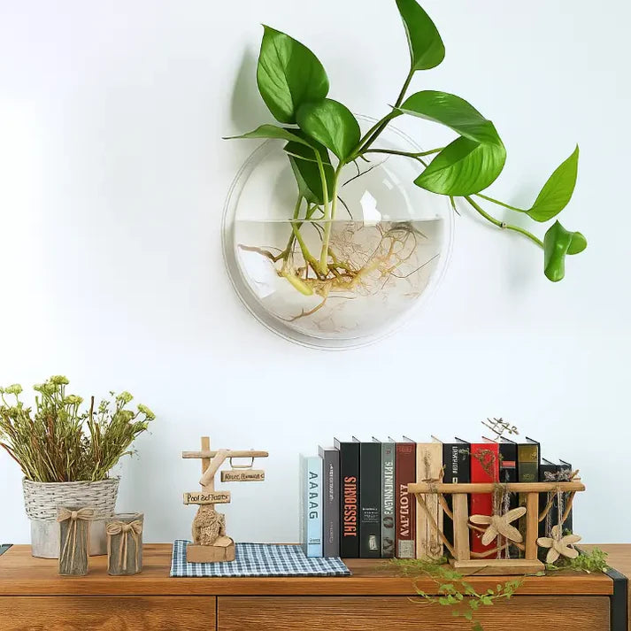 Wandpflanzenhalter ohne Bohren – Vertikaler Garten & Dekorative Fischschale