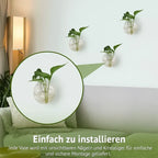 Wandpflanzenhalter ohne Bohren – Vertikaler Garten & Dekorative Fischschale