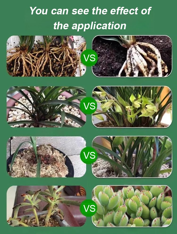 Pflanzen- & Blütenaktivator Flüssig – Stärkere Wurzeln & Mehr Blüten