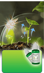 Pflanzen- & Blütenaktivator Flüssig – Stärkere Wurzeln & Mehr Blüten