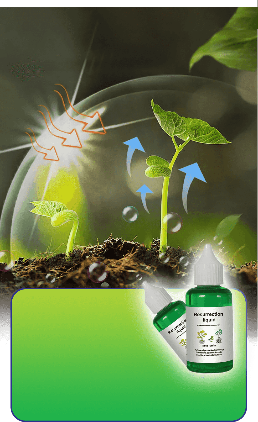 Pflanzen- & Blütenaktivator Flüssig – Stärkere Wurzeln & Mehr Blüten