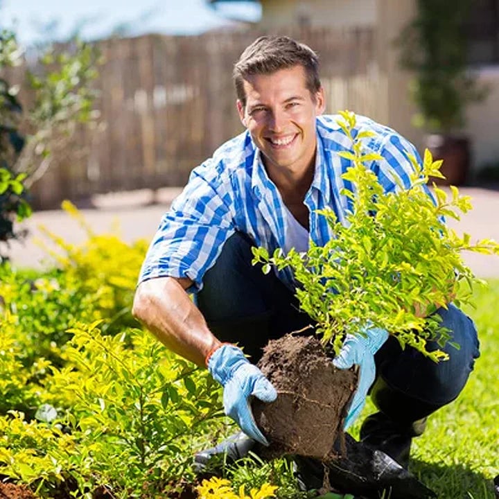Bodenaktivator – Gesündere Pflanzen Schnell (3 Stück)