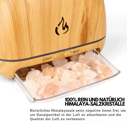 Himalaya-Salz Aroma Diffusor