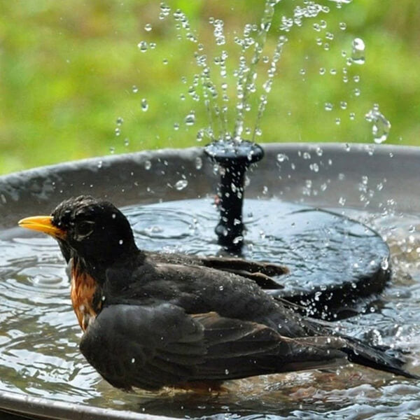 Solarbetriebener Springbrunnen