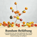 Moderner Obstständer