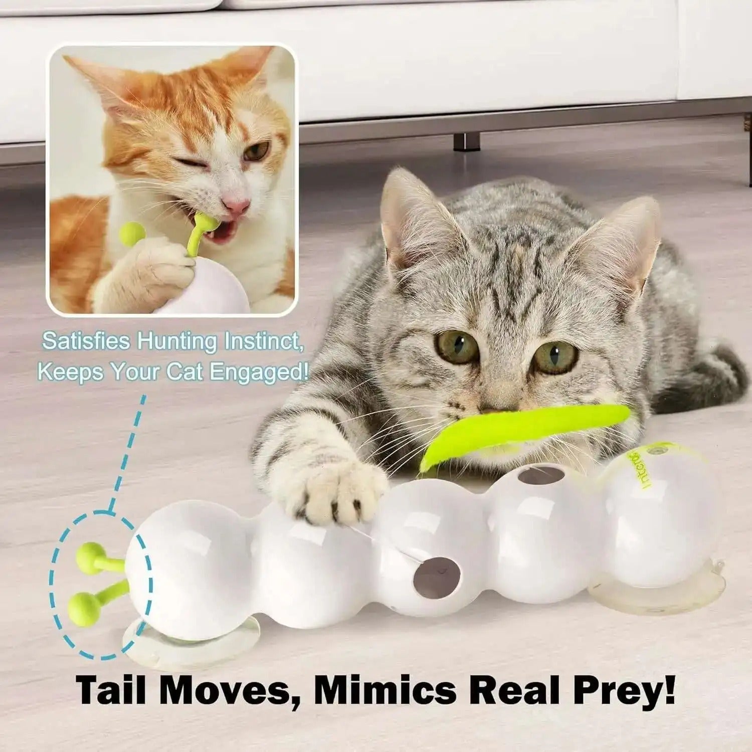Bewegliches Wurmspielzeug für Katzen – Für endlosen Spaß & Aktivität Mivoza Deutschland